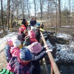 phoca_thumb_m_maena 64 Fotogalerie